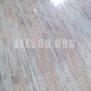 Elesgo Colorado glossy laminate